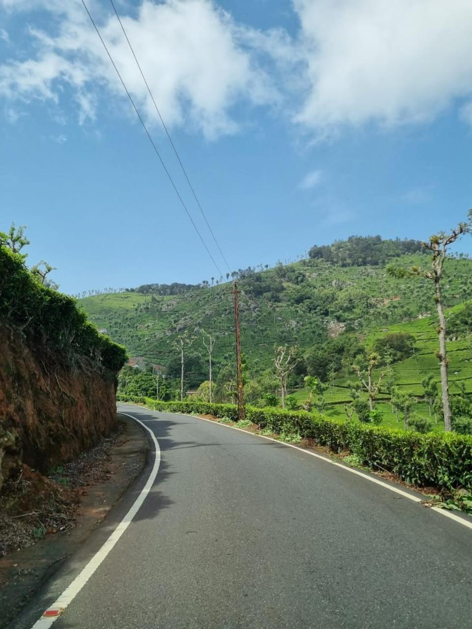 Camellia Heights 1&2 Panzió Coonoor Kültér fotó