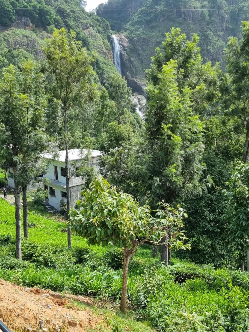 Camellia Heights 1&2 Panzió Coonoor Kültér fotó